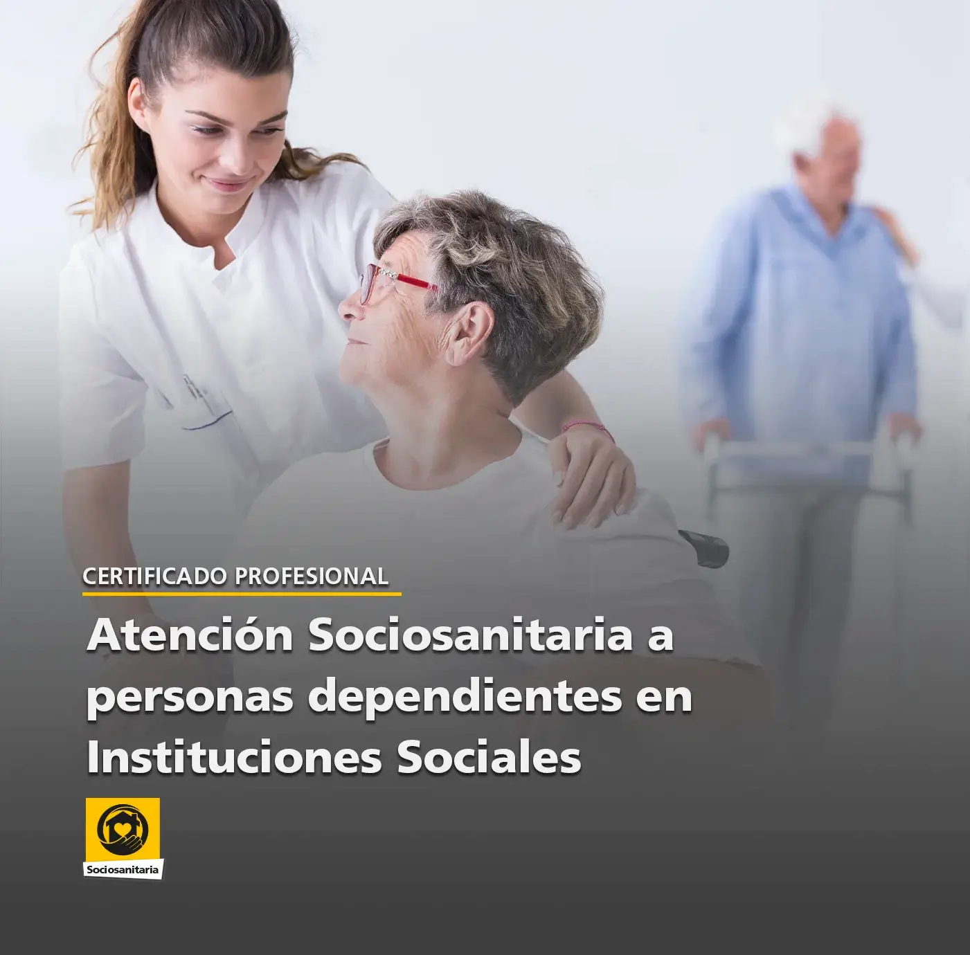 Certificado Profesional Atención Sociosanitaria a personas dependientes en Instituciones Sociales Certificado Profesional Atención Sociosanitaria a personas dependientes en Instituciones Sociales
