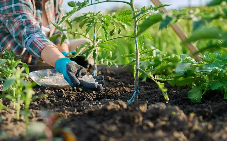 Cabecera-Abonos-Fertilizantes Conducción de Carretillas Elevadoras