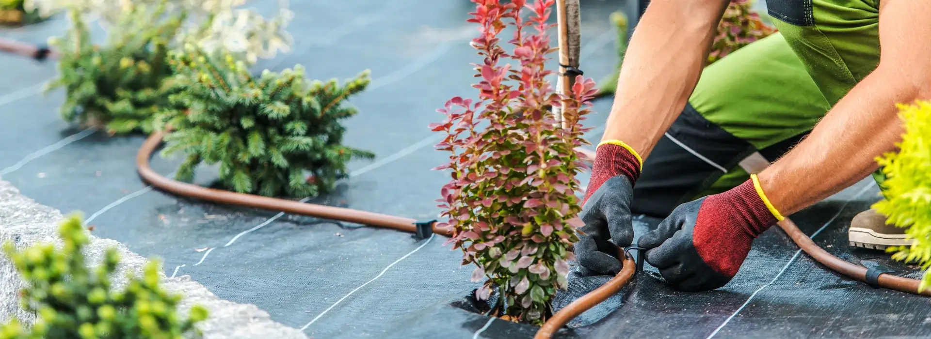 Área de Jardinería y Medio Ambiente