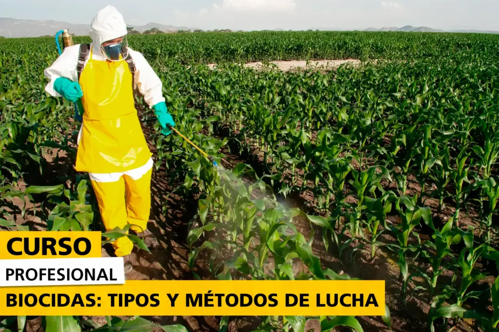 Trabajador agrícola con equipo de protección aplicando biocidas en un campo de cultivo de maíz, utilizando un pulverizador manual, como parte de un curso profesional sobre tipos y métodos de lucha con biocidas.