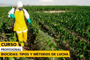 Trabajador agrícola con equipo de protección aplicando biocidas en un campo de cultivo de maíz, utilizando un pulverizador manual, como parte de un curso profesional sobre tipos y métodos de lucha con biocidas.