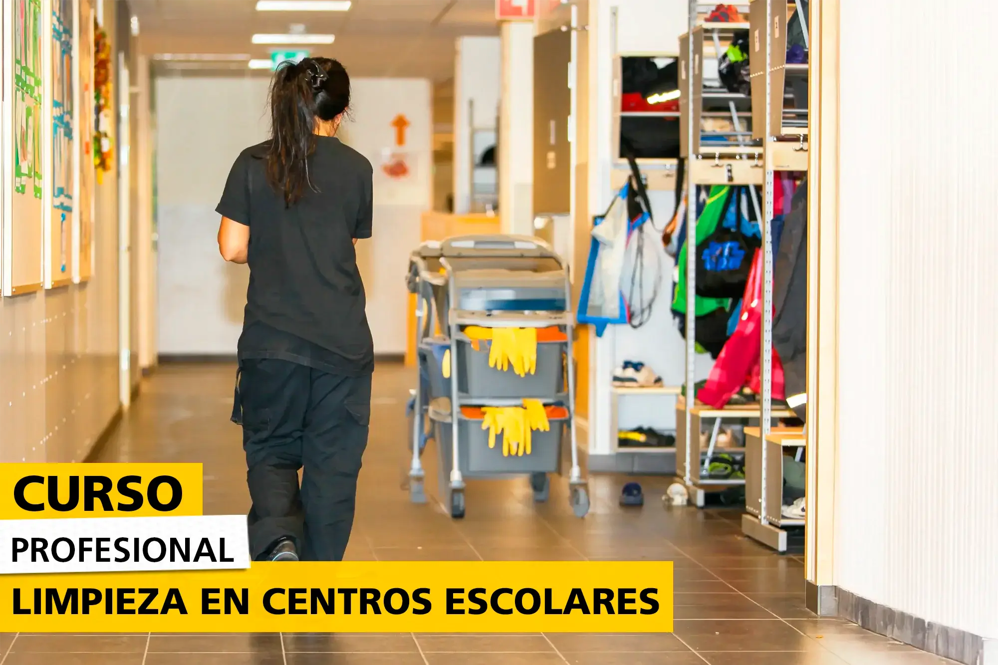 Curso Profesional Limpieza En Centros Escolares