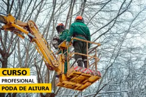 Dos operarios con equipo de seguridad y protección realizan trabajos de poda en altura utilizando una plataforma elevadora hidráulica. Se encuentran entre árboles sin hojas en un entorno invernal, en el contexto de un curso profesional especializado en poda de altura.