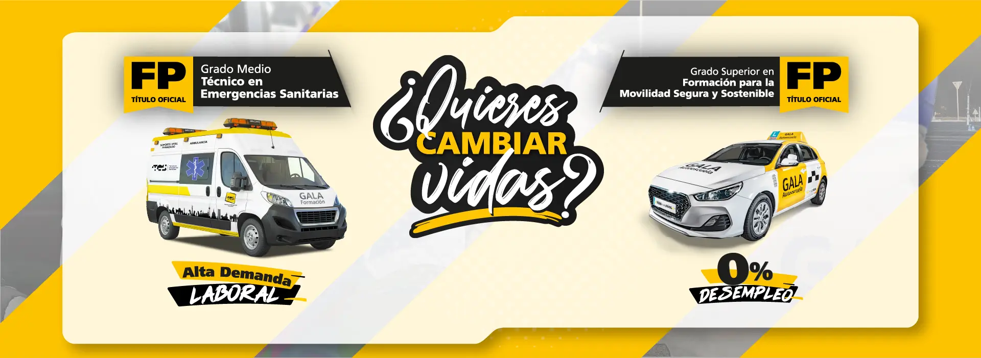 FP TFMSS y TES