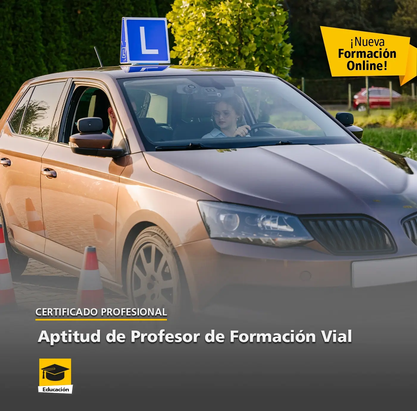 Certificado Online de Aptitud de Profesor de Formación Vial