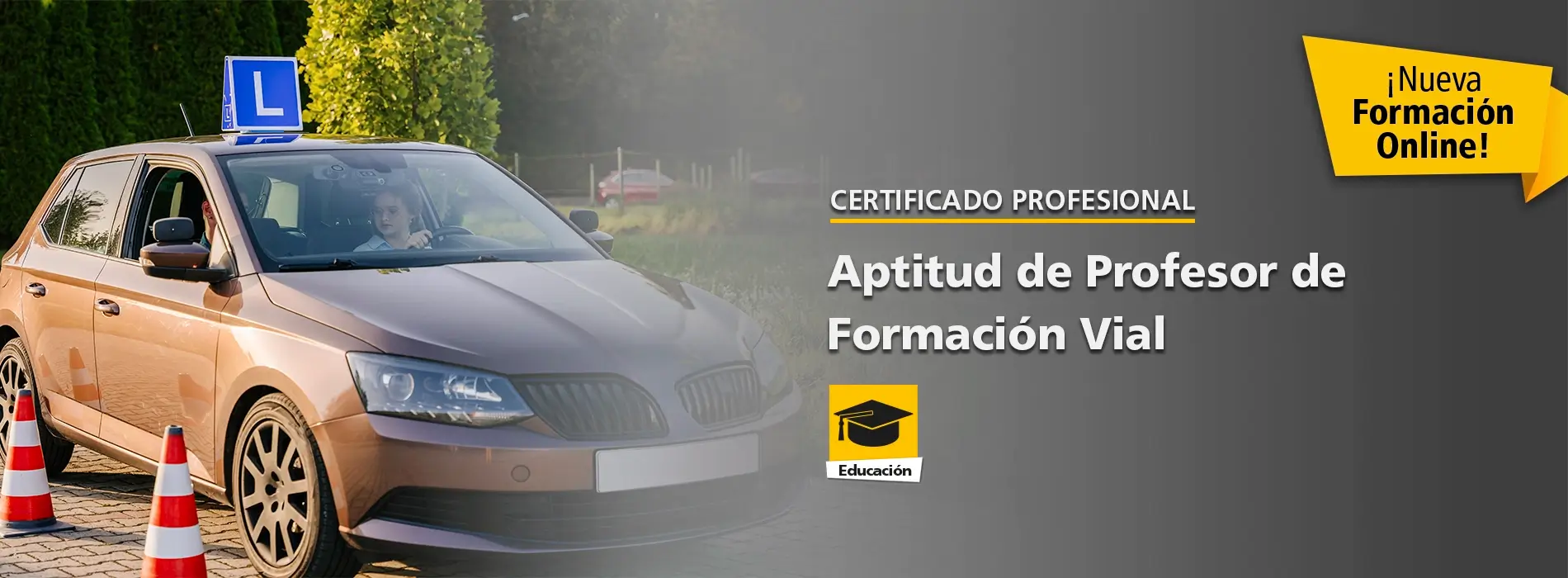 Certificado Online de Aptitud de Profesor de Formación Vial