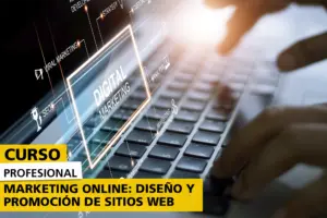 Curso Profesional Marketing Online: Diseño y Promoción de Sitios Web. Persona creando un sitio web