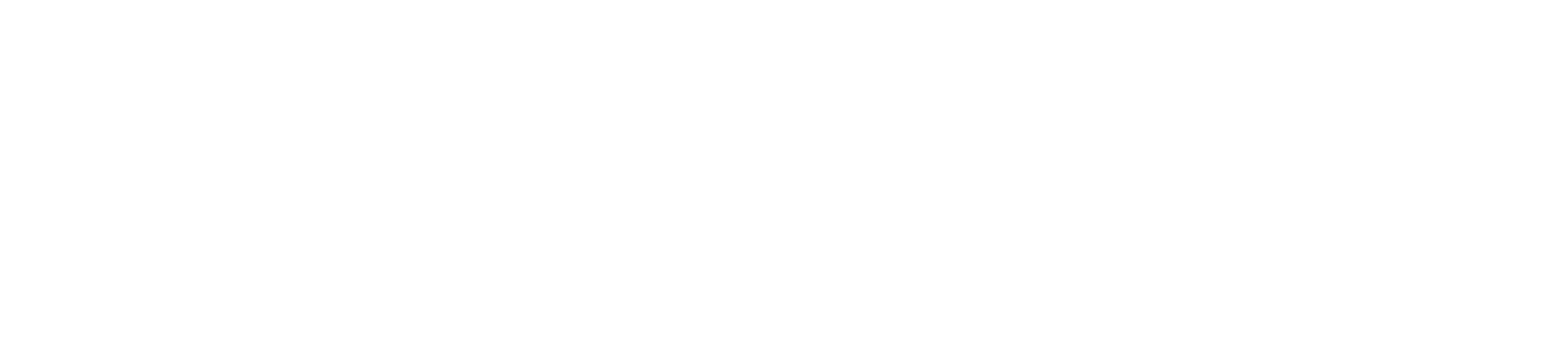 Logo Fetico